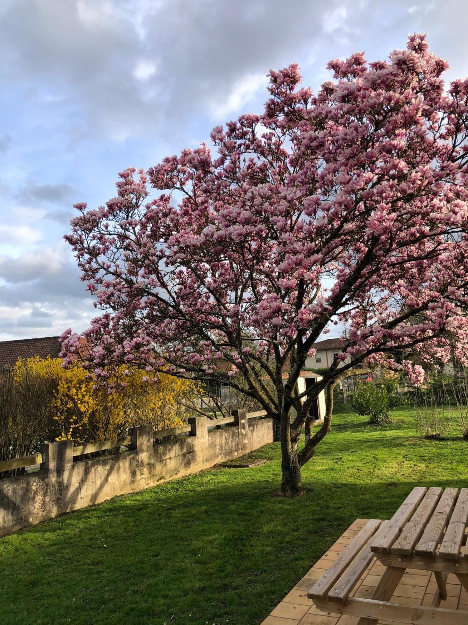Parc De La Charmille Bed & Breakfast Saint-Étienne-sur-Reyssouze Eksteriør bilde